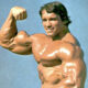 Arnold Schwarzeneger