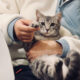How Recently Graduated Veterinarians Can Secure Disability Insurance