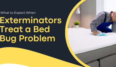 What to Expect When Exterminators Treat a Bed Bug Problem