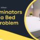 What to Expect When Exterminators Treat a Bed Bug Problem