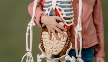 Choosing a GI Specialist in Los Angeles 6 Questions to Ask
