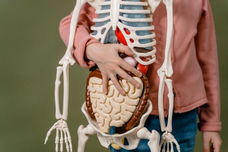 Choosing a GI Specialist in Los Angeles 6 Questions to Ask