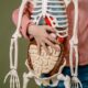 Choosing a GI Specialist in Los Angeles 6 Questions to Ask