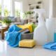 The Ultimate Whole House Cleaning Checklist Room by Room Guide