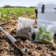 Why Sample Collection Matters in Agricultural Research
